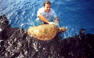 Andy in water with Turtle